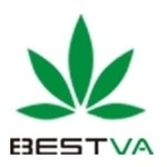 BESTVALED Coupon Codes