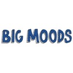 Big Moods Coupon Codes