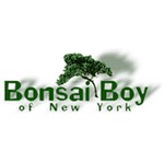 Bonsai Boy of New York Coupon Codes