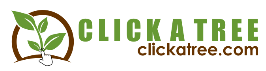 Click A Tree Coupon Codes