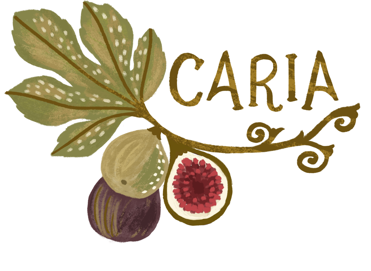 Fig of Caria Coupon Codes