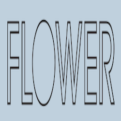 Flower Hair Tools Coupon Codes