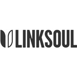 LinkSoul Coupon Codes