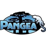 Pangea Coupon Codes