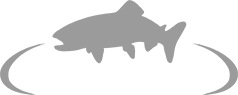 RiverBum Coupon Codes