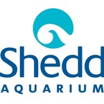 Shedd Aquarium Coupon Codes