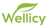 Wellicy Coupon Codes