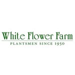 White Flower Farm Coupon Codes