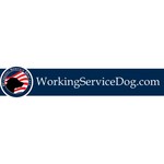 Working Service Dog Coupon Codes